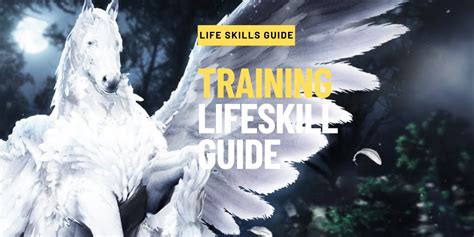 Horse Training Lifeskill Guide .